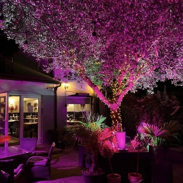 harrys-bar-and-restaurant (6)